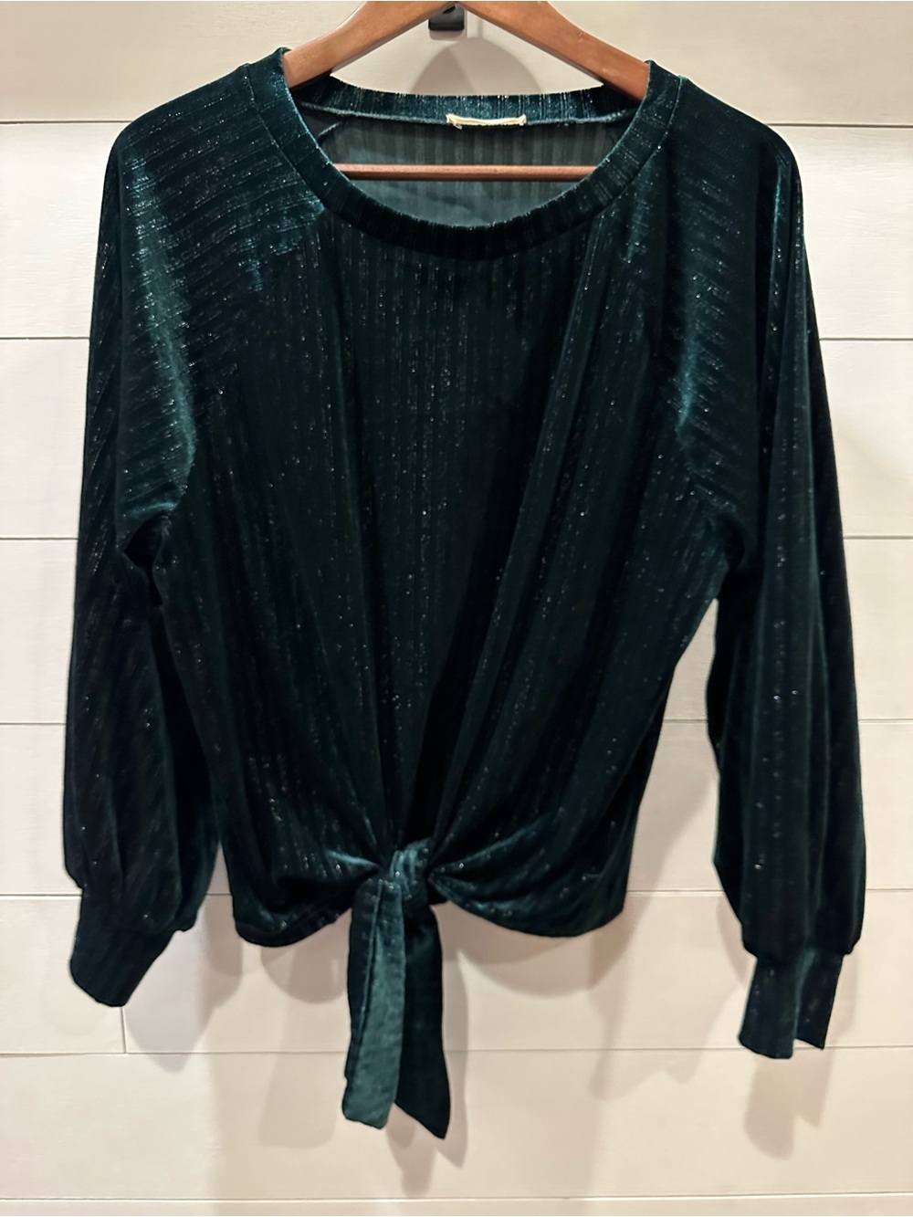 Andthewhy Tie- Front Long Sleeve Velvet Top in Deep Green- size Small